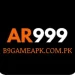 AR999 Game