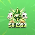 SK-E999 Game